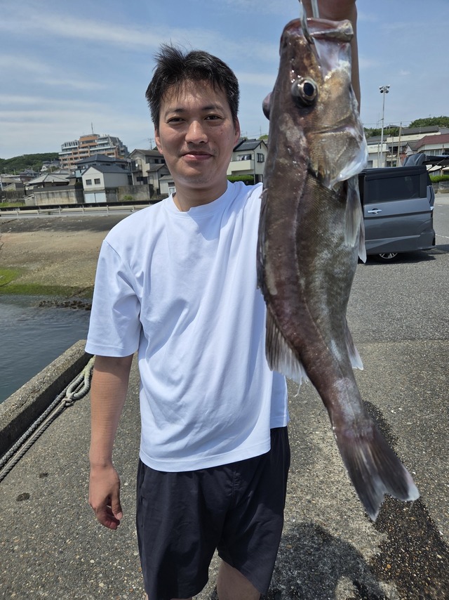 アラ