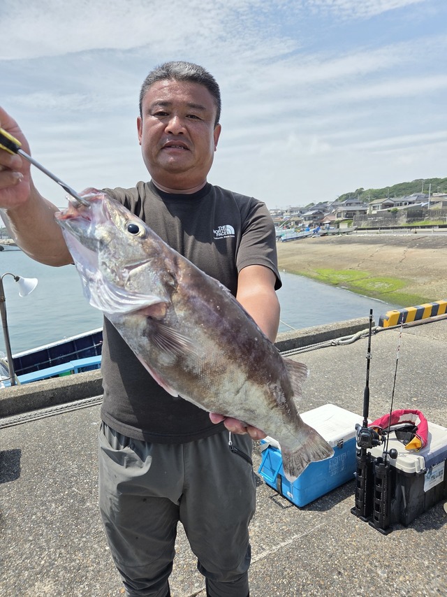 アラ