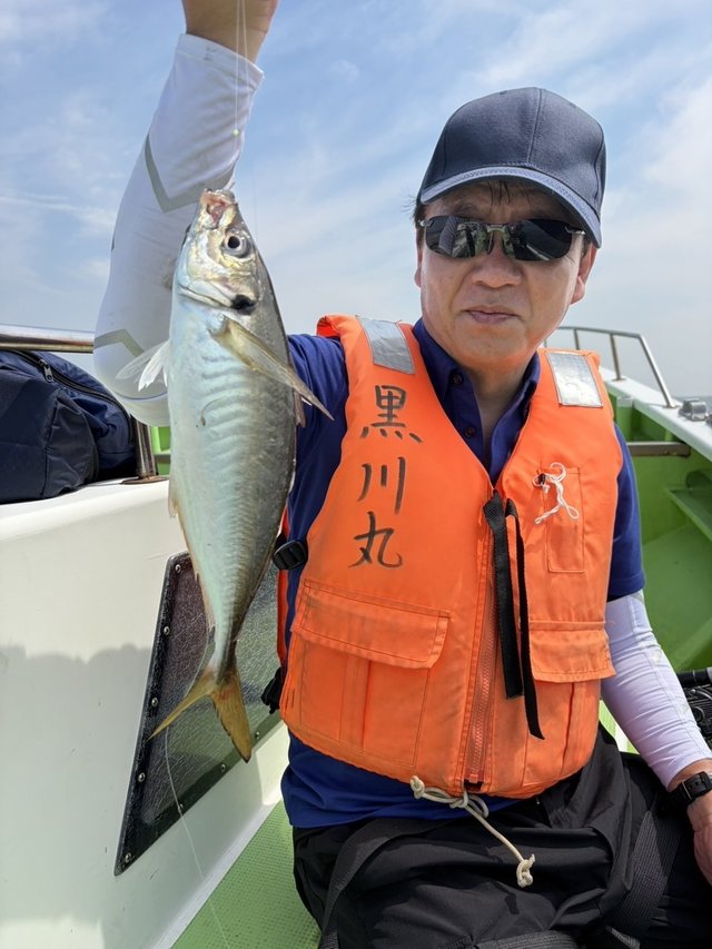 アジ(マアジ)