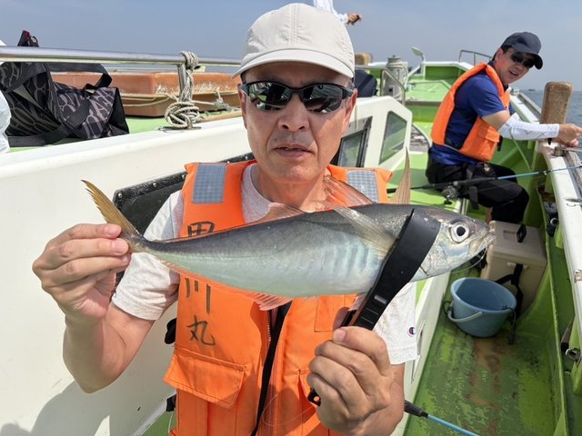 アジ(マアジ)