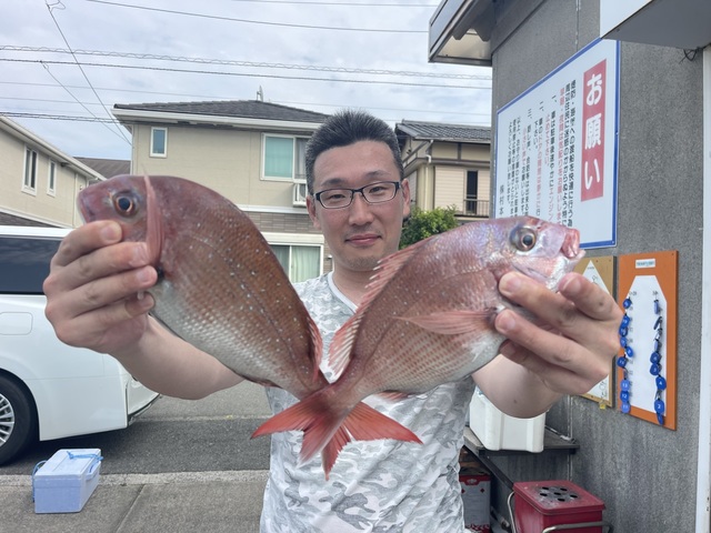 マダイ