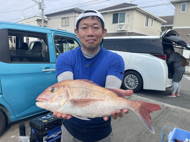 マダイ