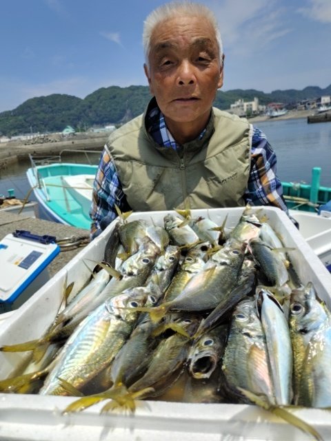 アジ(マアジ)