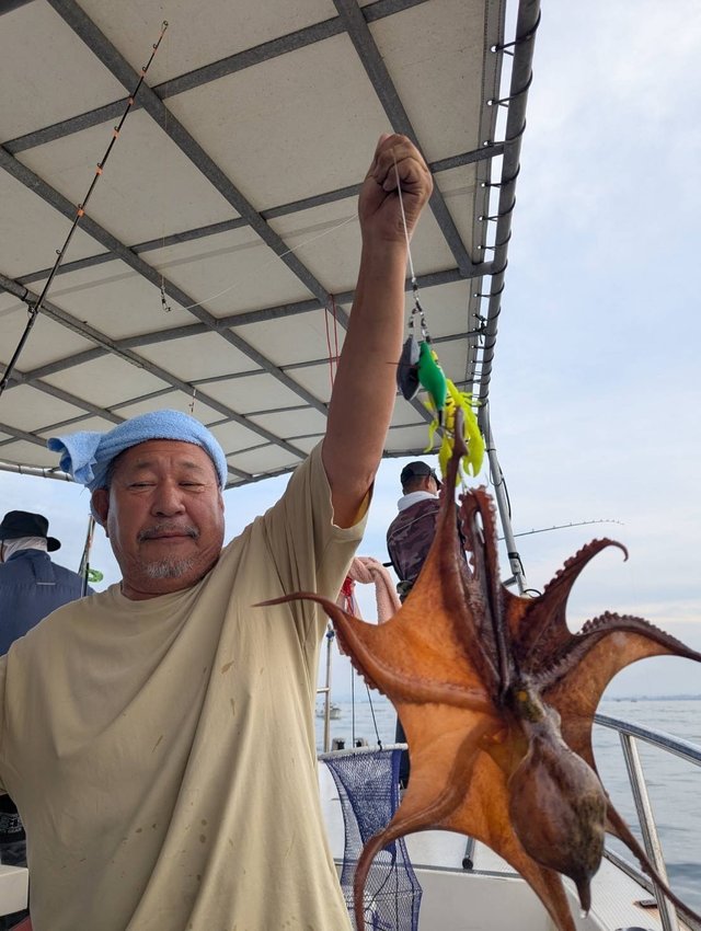 マダコ