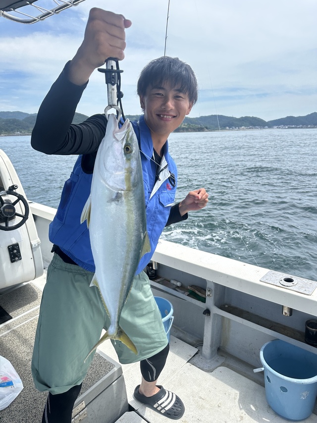 ハマチ(ブリ)