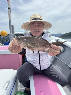 オオモンハタ