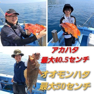 アカハタ・オオモンハタ