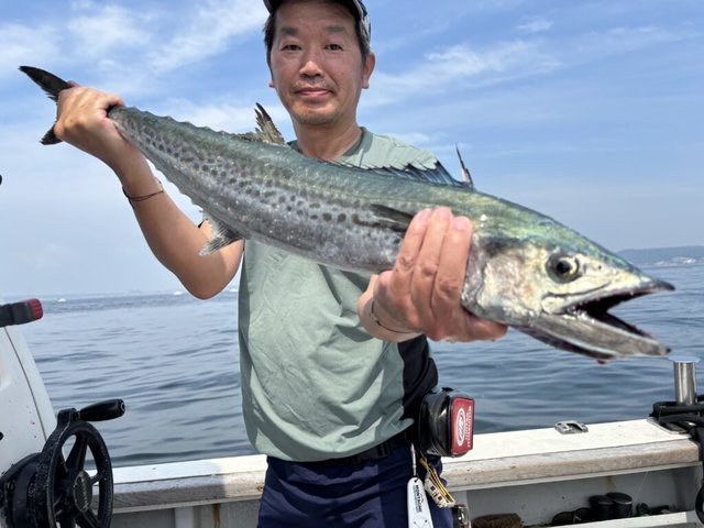サワラ