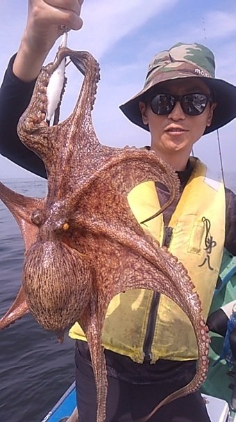 マダコ・タチウオの釣果写真