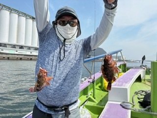 カサゴ