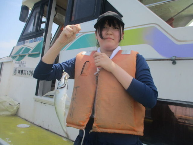 アジ(マアジ)