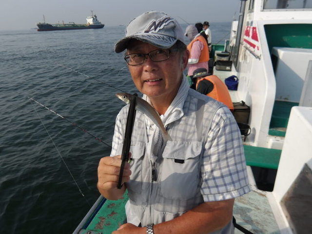 シロギス