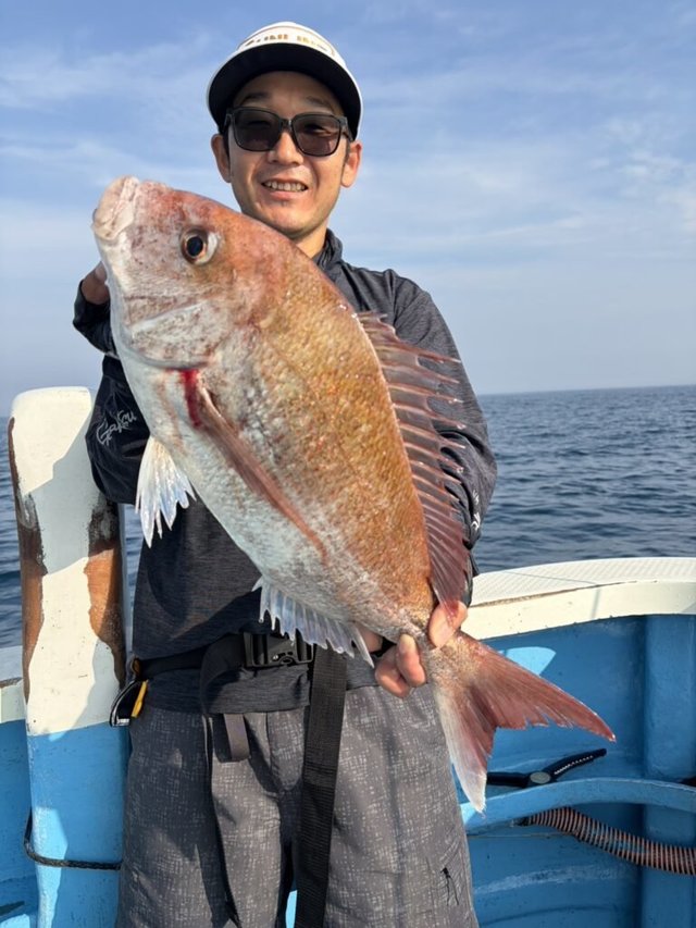 マダイ