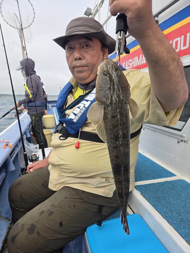マゴチ