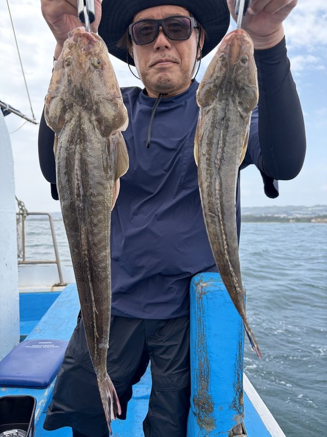 マゴチ