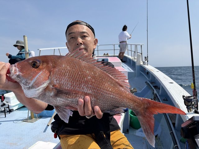 マダイ