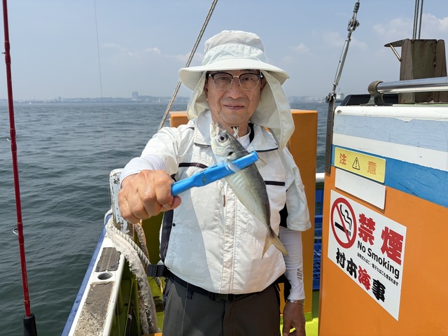 アジ(マアジ)