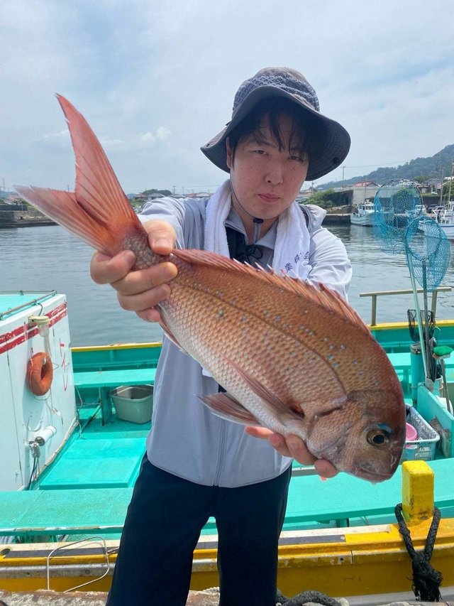 マダイ