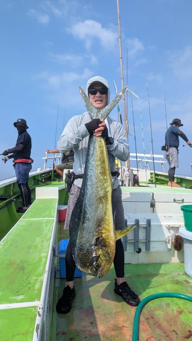 シイラ