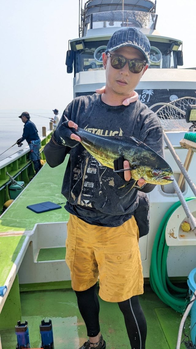 シイラ