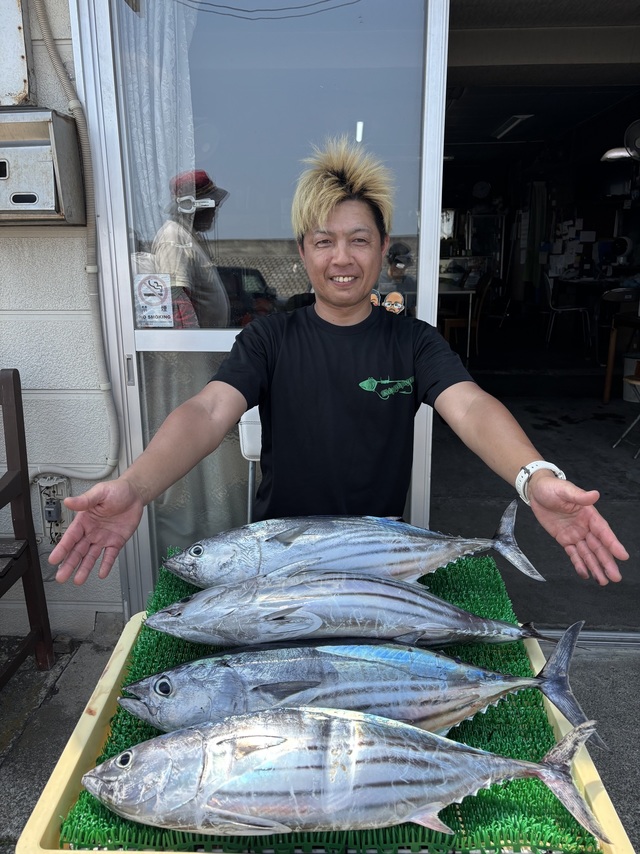 カツオ