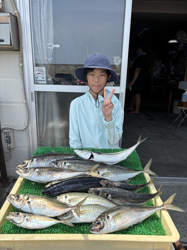 アジ(マアジ)