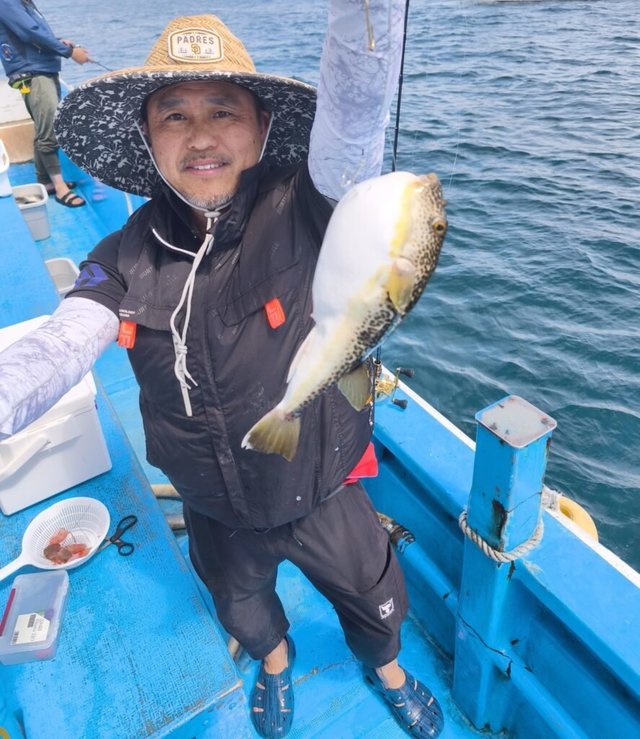 フグ(ショウサイフグ)