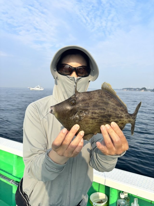 カワハギ