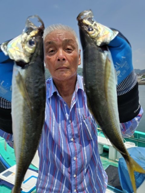 アジ(マアジ)