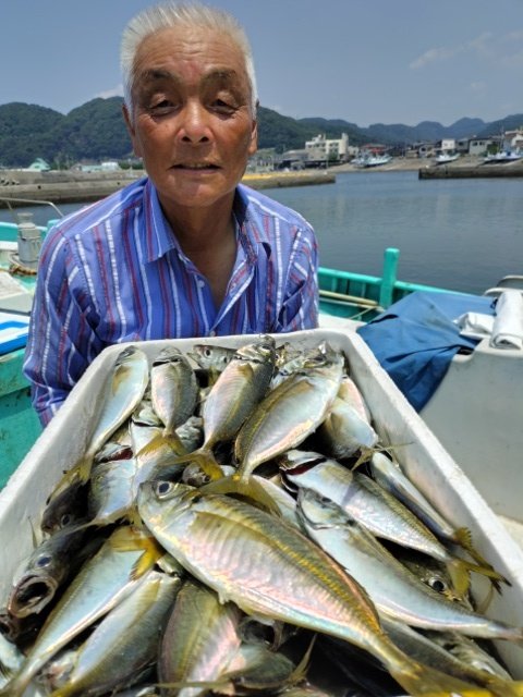 アジ(マアジ)