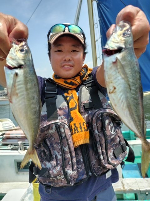 アジ(マアジ)
