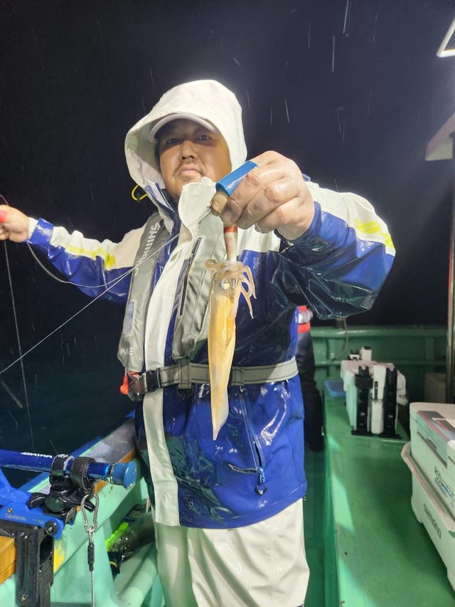 スルメイカ