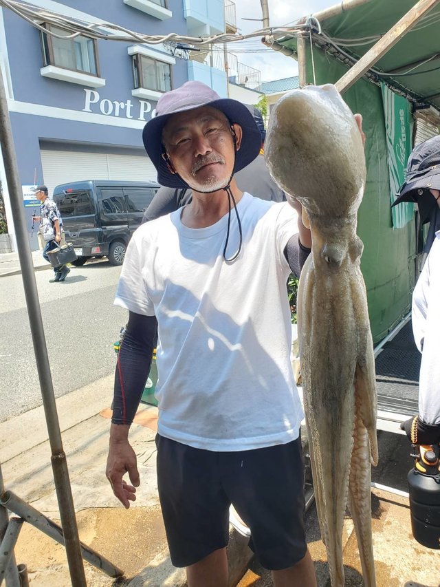 マダコ