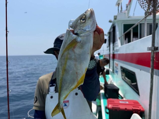 シマアジ