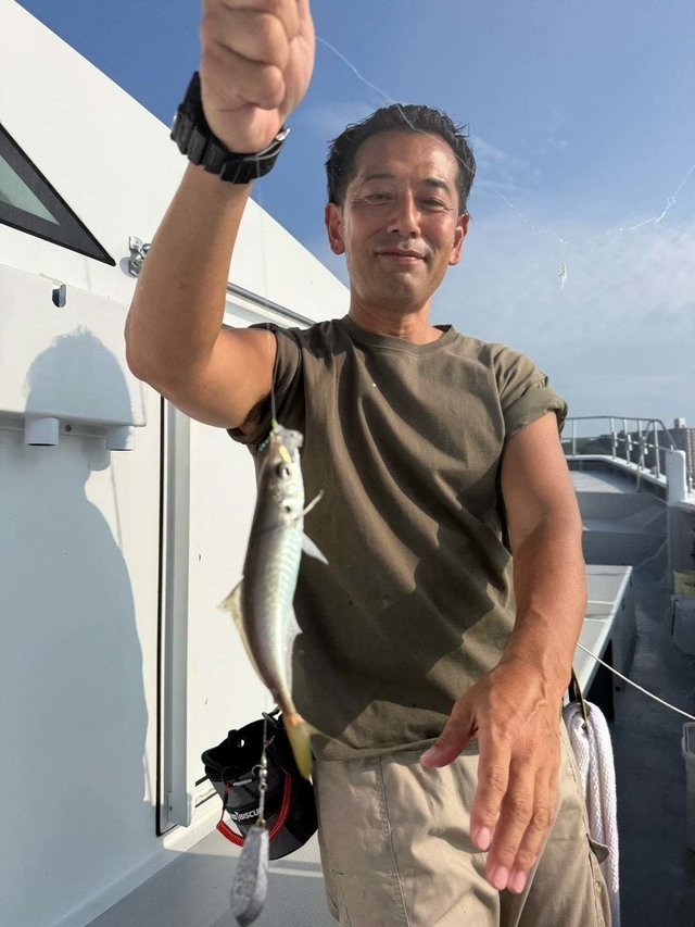 アジ(マアジ)