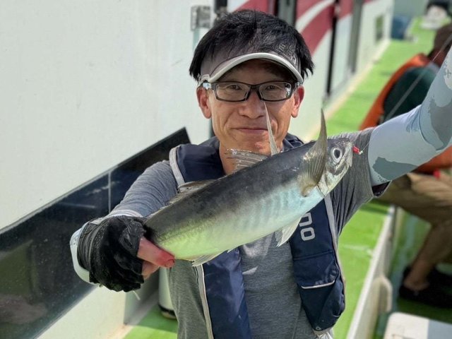 アジ(マアジ)