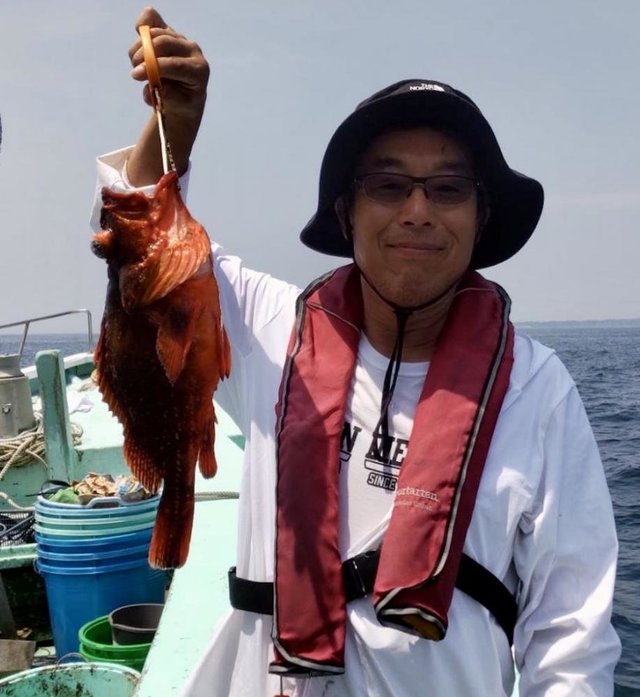 ウッカリカサゴ