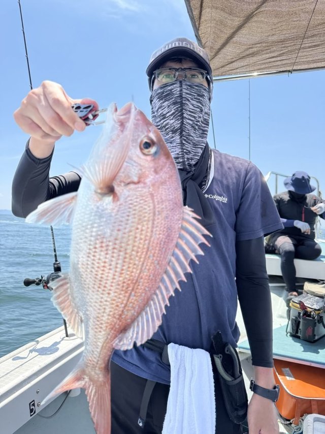 マダイ