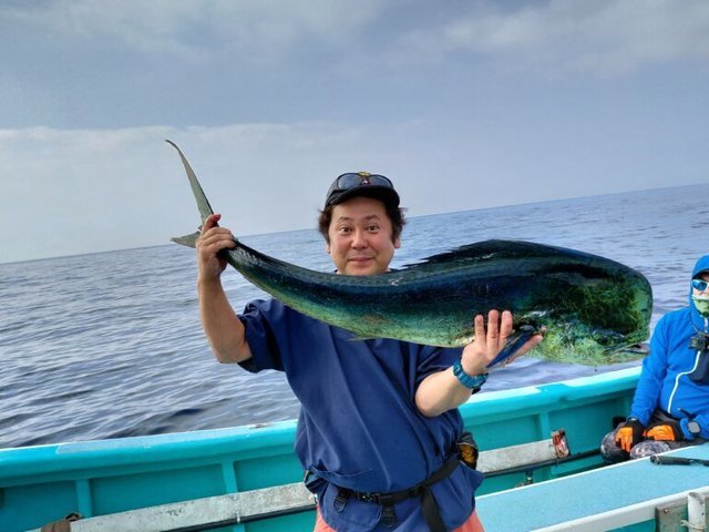 シイラ