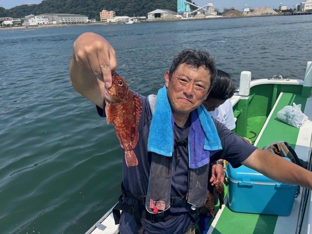 カサゴ