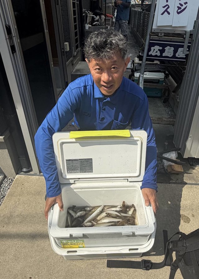 シロギス