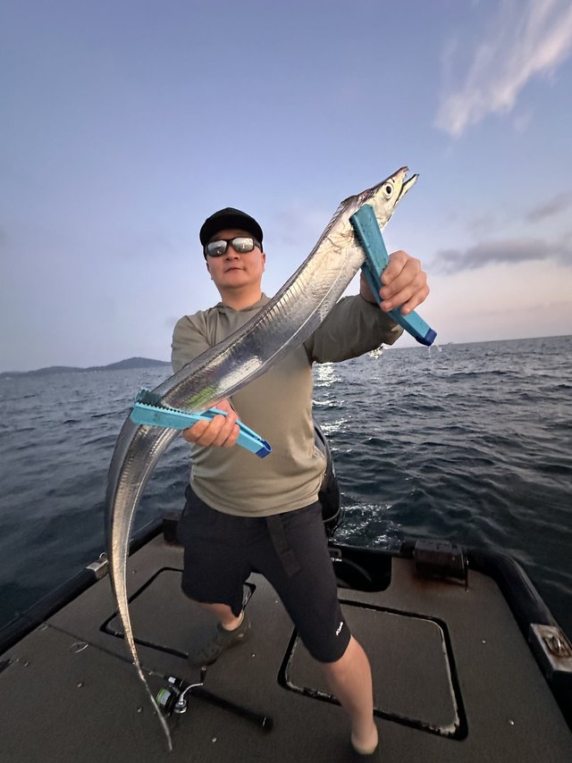 タチウオ
