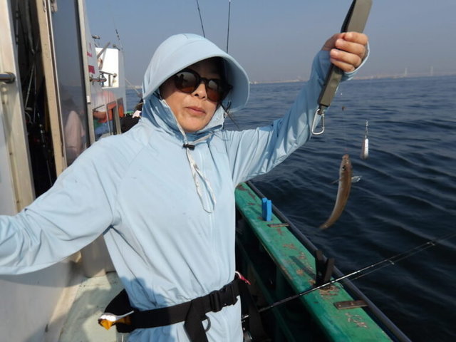 シロギス