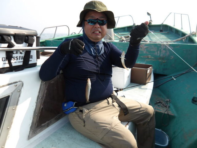 シロギス