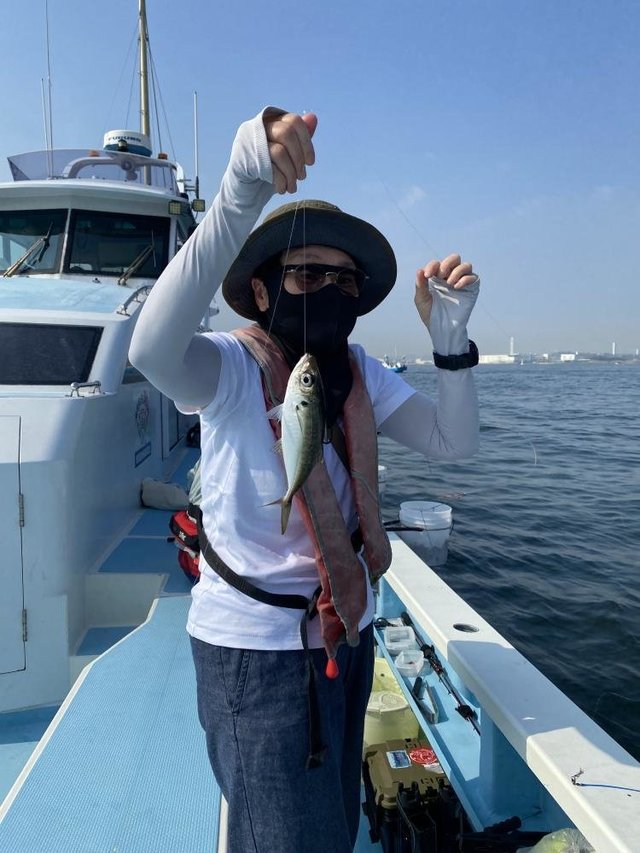 アジ(マアジ)