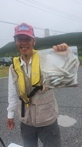 シロギス
