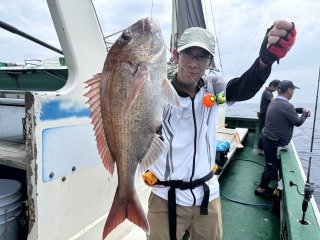 マダイ