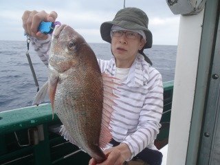 マダイ
