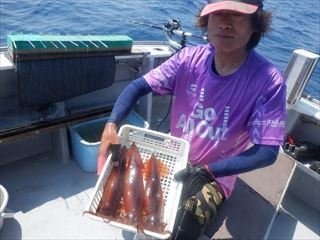 スルメイカ