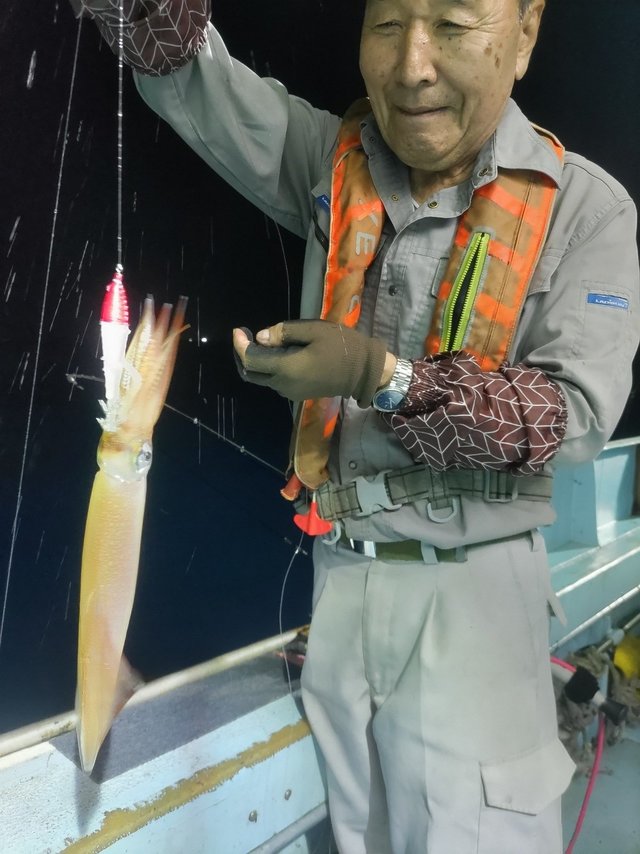 イカ(ケンサキイカ)